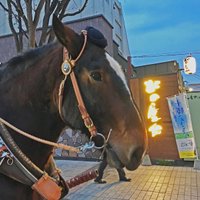 馬車BAR【公式】 (@bashabar1) Twitter profile photo