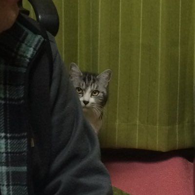 SWRC7ANZZL3rl4a's profile picture. 群馬在住、いつか浮上してやるゼェー(^^)