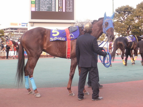 kabk1's profile picture. 東京ヤクルトスワローズと競馬がメイン