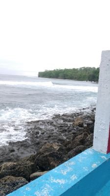 elinmarlina202's profile picture. 