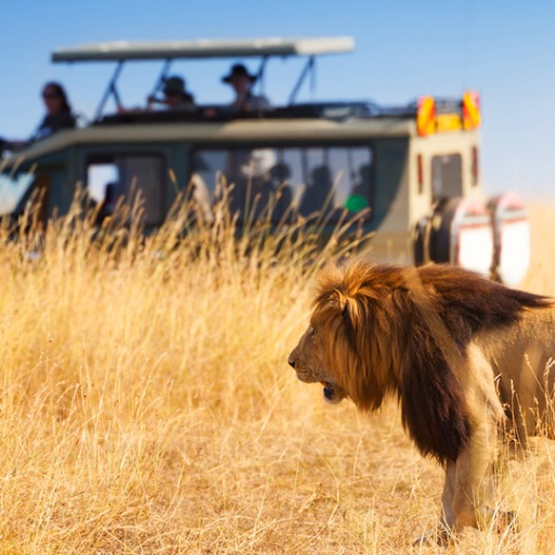 Africa Safari Experts, living in Nairobi, Kenya. Contact us for all your tours in Africa & get value for your money. You will depart Africa with memories.