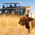 Dan Safaris, Kenya (@DanSafaris) Twitter profile photo