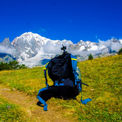 susiwen8's profile picture. Front-end dev