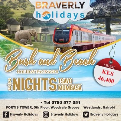 We deal with; #safaris #Holidays #Team building #Hotel Booking #Flights #Excursions Instagram page Follow @Braverlyholidays1