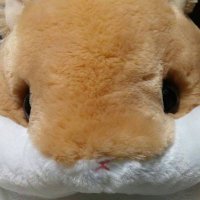 supica220 (@supica220) 's Twitter Profile
