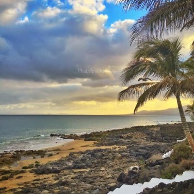 okmk110's profile picture. 