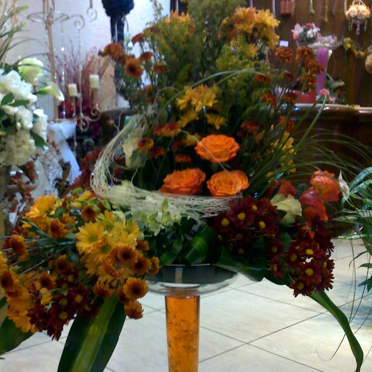 evaamel15751164's profile picture. Hi, I'm Ava .i'm a Online Marketer .