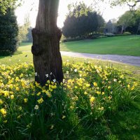 York Museum Gardens (@museumgardens) 's Twitter Profile Photo