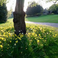 York Museum Gardens - @MuseumGardens Twitter Profile Photo