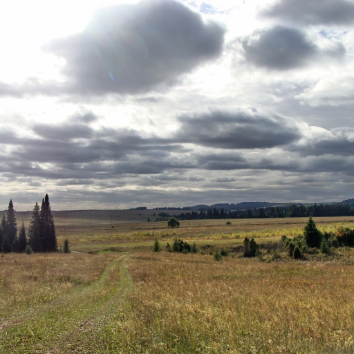 lucillaDavioSr3's profile picture. a strong woman :)