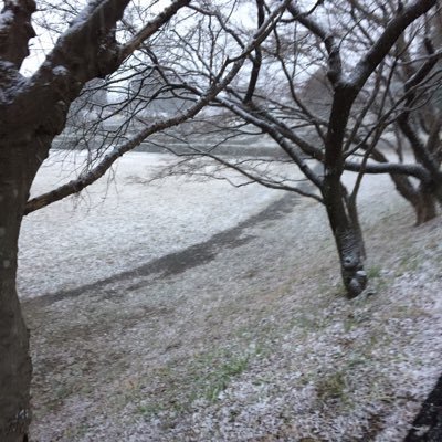 tukaken09261's profile picture. 基本フォロー返します 無言フォローすいません 気軽にフォローお願いします /内本選手/乃木坂46／ラーメン／スマブラ／ホラゲー