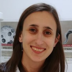 Antonela Profile