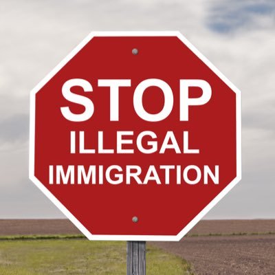 Stop Illegal Immigration on X: "People argue that Americans commit more  crime than Illegal immigrants, but "One does not follow the other.  Infinitely more people die in car accidents than plane crashes,