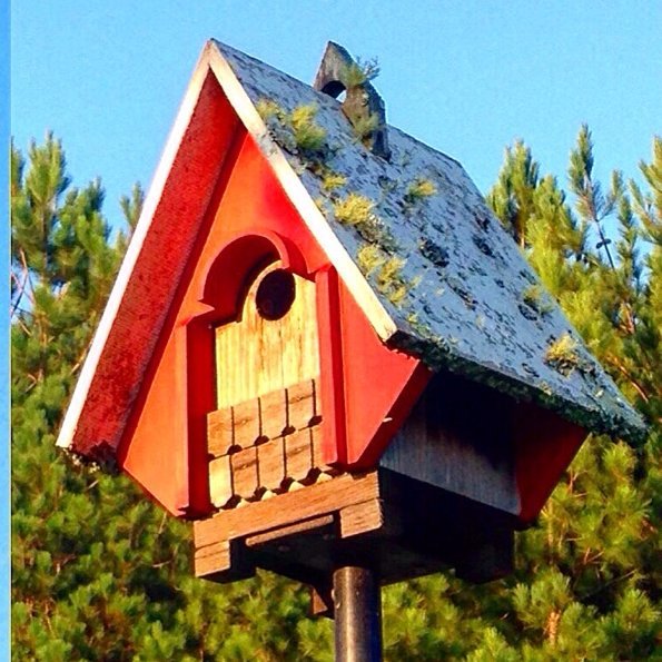 roseprattle's profile picture. Curiouser and curiouser