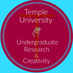 TU Undergrad Research (@ugradresearchTU) Twitter profile photo