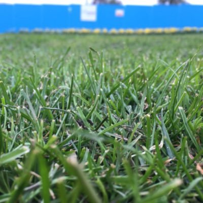 Coyden1's profile picture. 