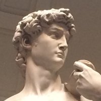 David דוד (@db3329) 's Twitter Profile