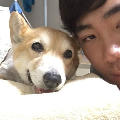 Ss07301S's profile picture. oVice1人目社員 ⇐ 語学学習サービスを展開する企業でデータ分析を経験 ⇐ シーシャのwebサービスやご祝儀決済サービスを開発