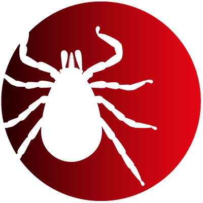 Stichting Tekenbeetziekten legt zich toe op het overwinnen van tekenbeetziekten waaronder de ziekte van Lyme #vanvoorkomentotgenezen
