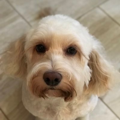 MrsFisH46's profile picture. 