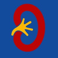 KIDNEYcon (@kidneycon) 's Twitter Profile Photo KIDNEYcon (@kidneycon) 's Twitter Profile Photo