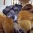scutie88's profile image