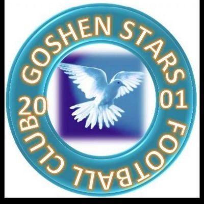 The official handle for Goshen Stars FC







                     Motto: In God We Trust