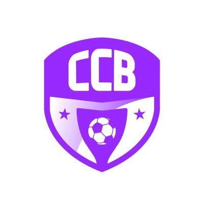 Copa Ciudad Bogotá es un torneo que se realiza en junio y diciembre. Hay clubes y escuelas de toda Colombia, además de invitados de México, Panamá y Ecuador