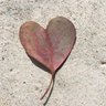 Maria27009144's profile picture. working on enlightenment