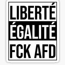 #fckafd #wirsindmehr #fcknazis #Antifa