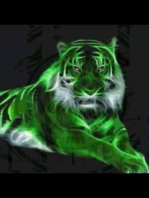 AnneWel22346774's profile picture. I am a single mother of 2 grandmother to 3 love to read and Celtic FC with a passion