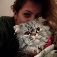 Ayşe Şahin (@ayshooo) 's Twitter Profile