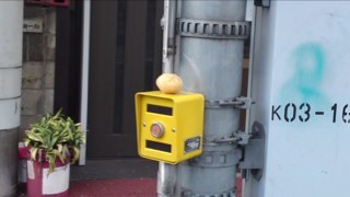 takeshi184184's profile picture. 