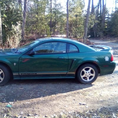 CrazzzyMomma's profile picture. Mom of 4 with 5 granddaughters. Landscape photograper, awesome cook, animal lover, sheet folding expert. 
CashApp $TawasGirl