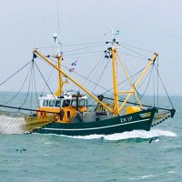 Garnalenkotters (@garnalenkotters) 's Twitter Profile Photo