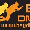 baydivers.co.uk(@BaydiversU) 's Twitter Profile Photo