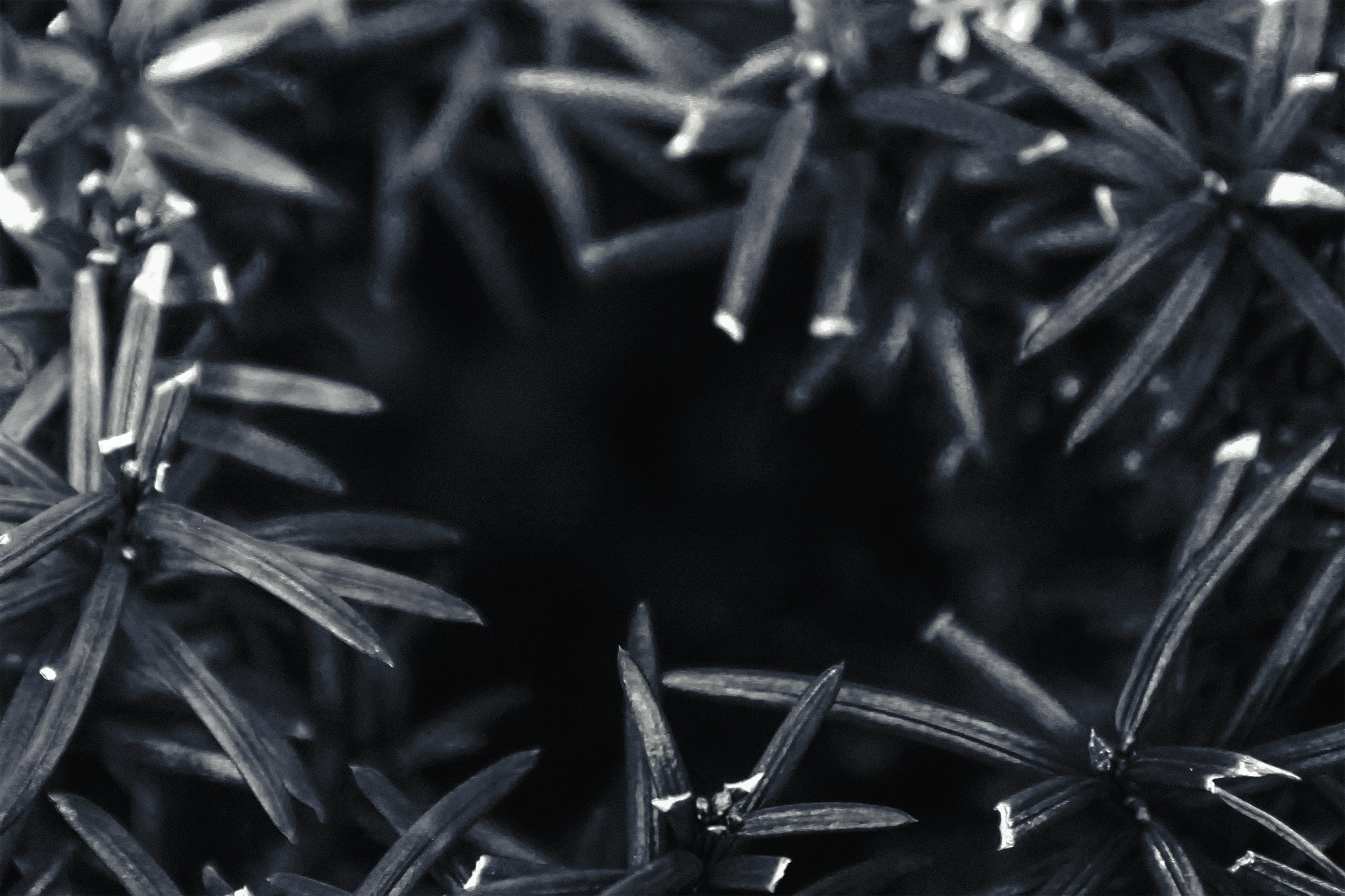 ALTPRSPCTV's profile picture. ALTERNATED PERSPECTIVE. //