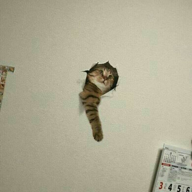 gutierrezkarla5's profile picture. 