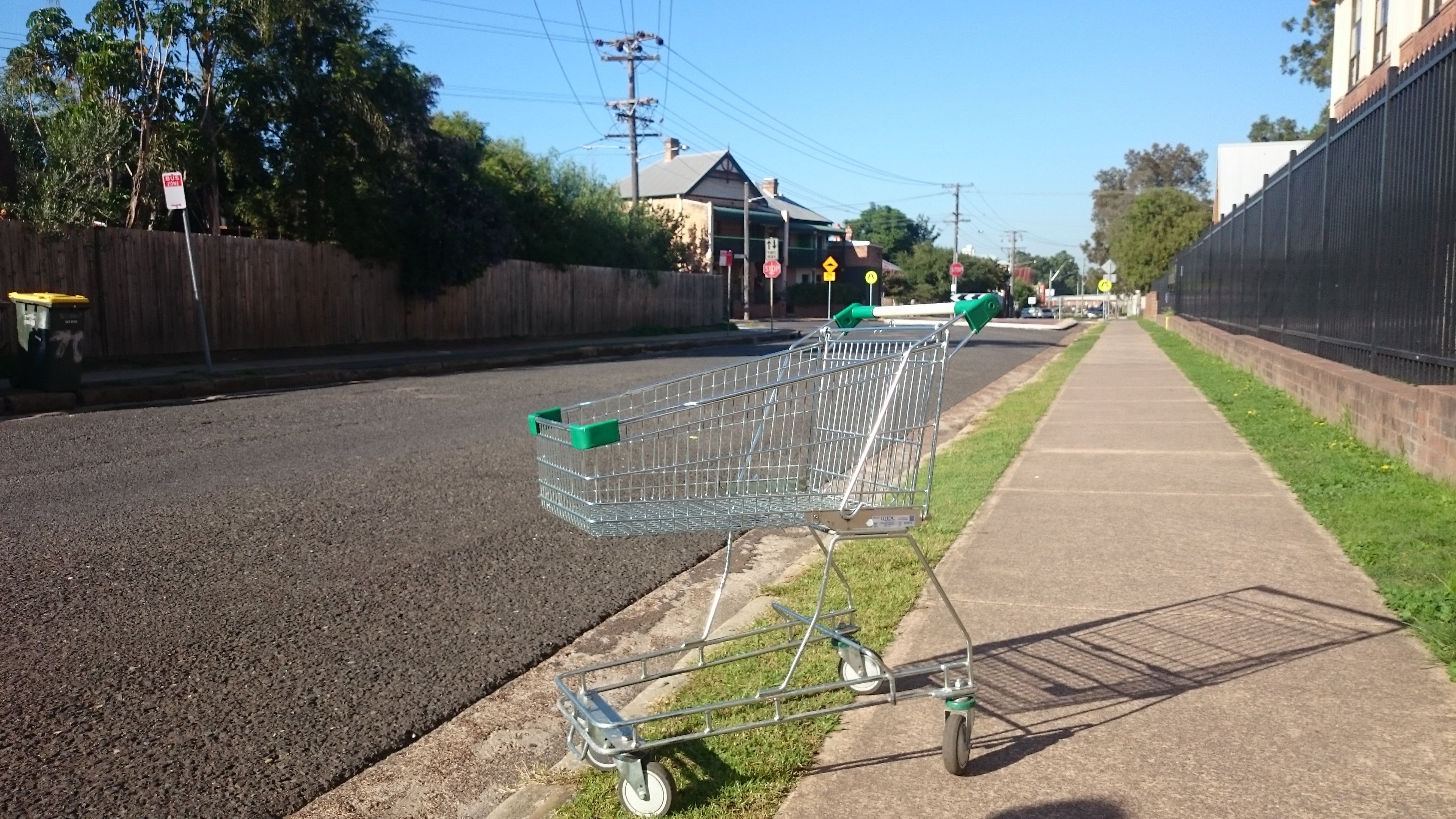 I love shopping trolleys in Maitland. All these trolleys are just as I found them, placed carefully by my fellow Maitland residents. I never interact with them.