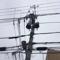 菅沢真玲 (@nzer691021) Twitter profile photo