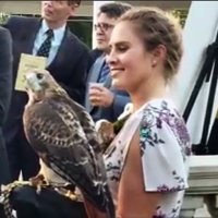 Jess in the Wild (@jess_inthewild) 's Twitter Profile Photo Jess in the Wild (@jess_inthewild) 's Twitter Profile Photo