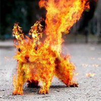 Hellsquirrel 2.0 (@hellsquirrel2) 's Twitter Profile