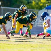 mason yokum (@masonyokum) 's Twitter Profile