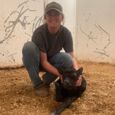 jessjackson11's profile picture. WT Volleyball Alum • Texas A&M Veterinary Medicine
