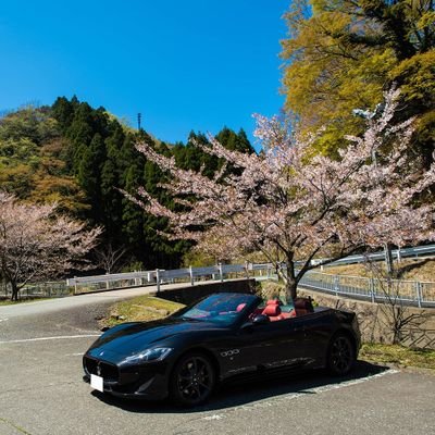 hyakky_maserati Profile Picture