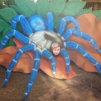 Pea Sherman (@pea_sherman) 's Twitter Profile