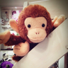 ihcgT_Ykchi's profile picture. MLE / kaggle (guchio3) / atcoder (guchio3) / M ⇦ :D