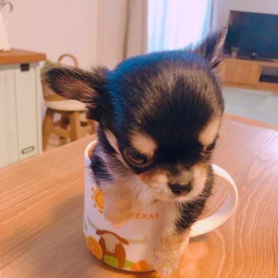 pro478859979's profile picture. 