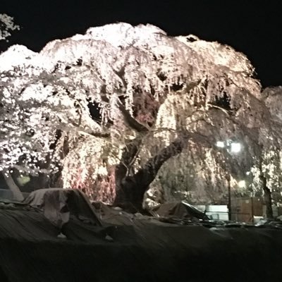 競馬が好きです! 予想方法は凄い独特です!!笑笑。中央競馬も地方競馬も楽しんでやれたらそれで幸せです。。。