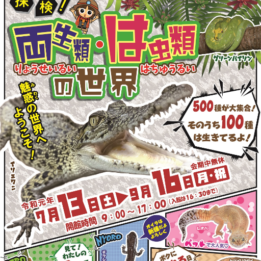 2019年7月13日（土）から9月16日（月・祝）まで北九州市立いのちのたび博物館で開催する特別展「探検！両生類・は虫類の世界」公式アカウントです。